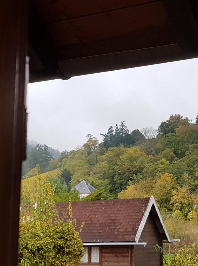 Ferienwohnung La Valeriane Kintzheim Exterior foto