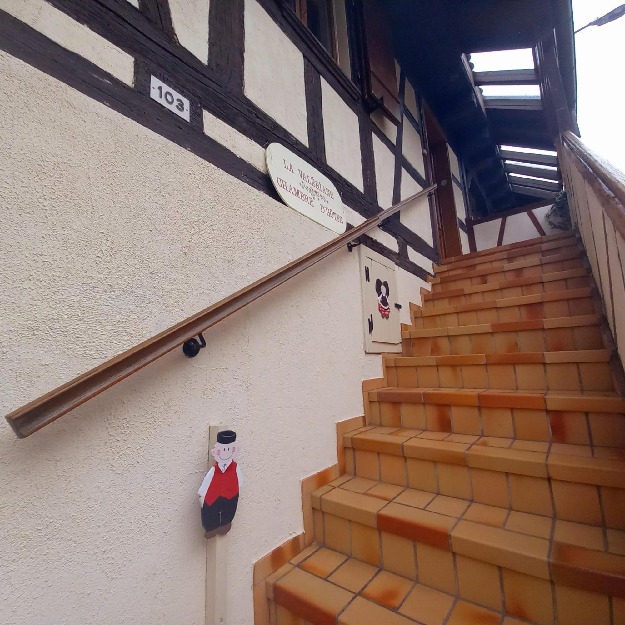 Ferienwohnung La Valeriane Kintzheim Exterior foto